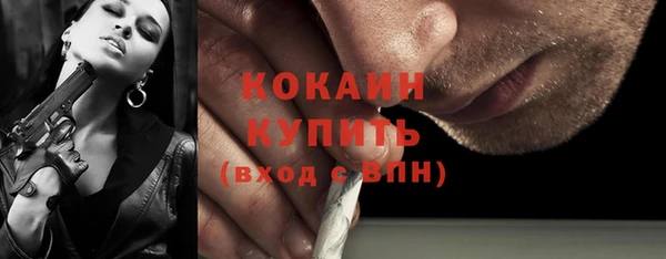 дмт Карпинск
