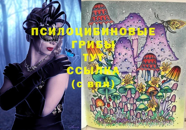 дмт Карпинск