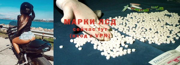 дмт Карпинск