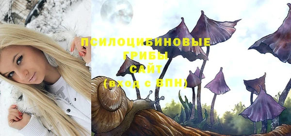 дмт Карпинск