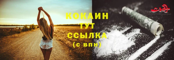МДПВ Касимов