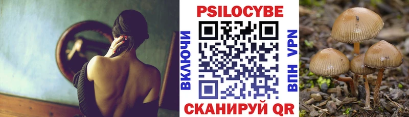 Псилоцибиновые грибы Magic Shrooms  Купить  Терек 